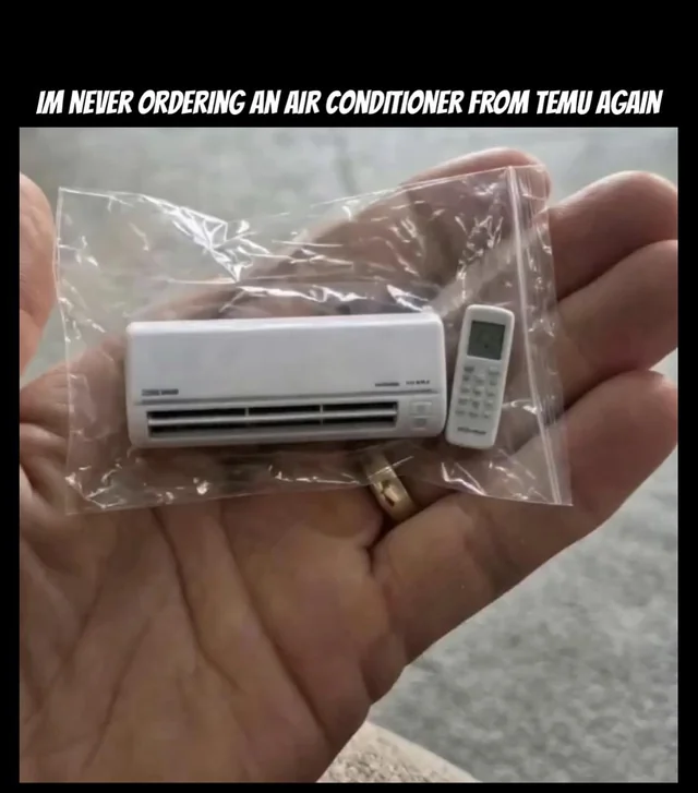 Temu be like… – Image
