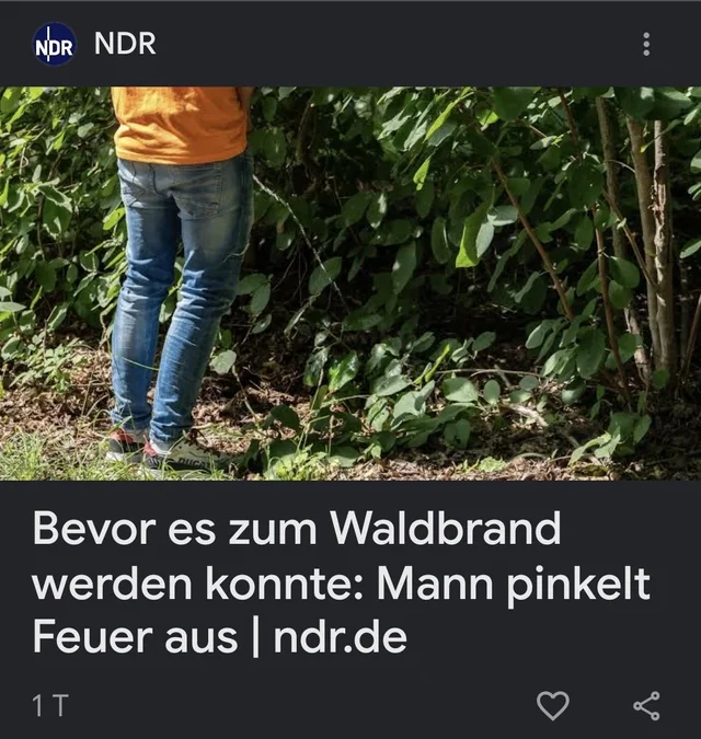 Der kleine Feuerwehrmann hat geregelt. – Image