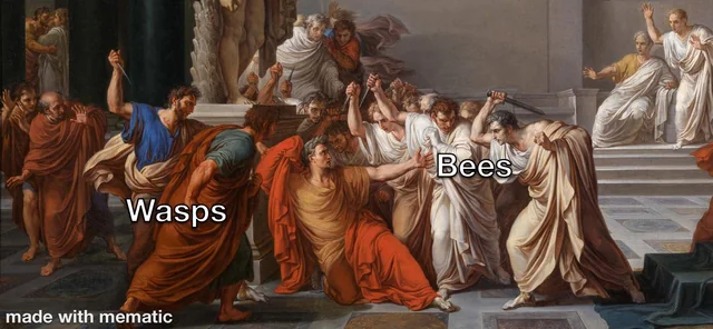 Noooo not the bees – Image