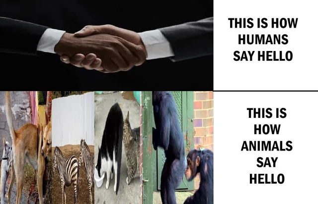 EVOLUTIONIST's NEED TO START SAYING HELLO PROPERLY #1 – Image