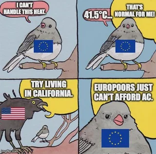 Classic Americans never missing an opportunity to show their ignorance #1 – Image