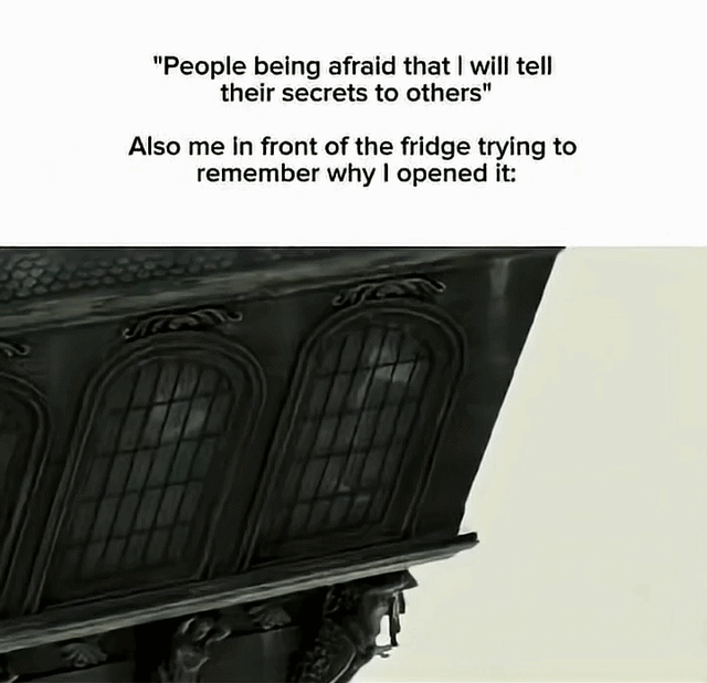 Goldfish memory strikes again #1 – Image