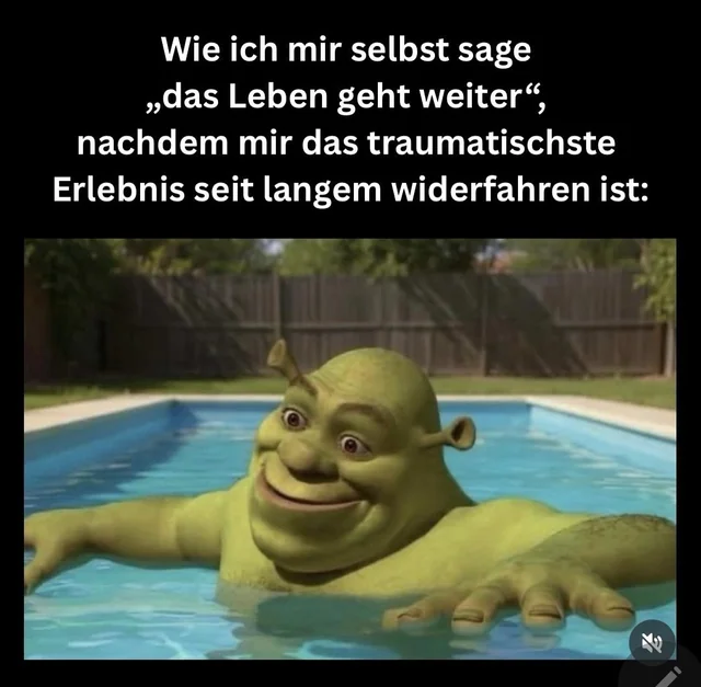 Das Leben geht weiter, wer kennt es nicht? #1 – Image