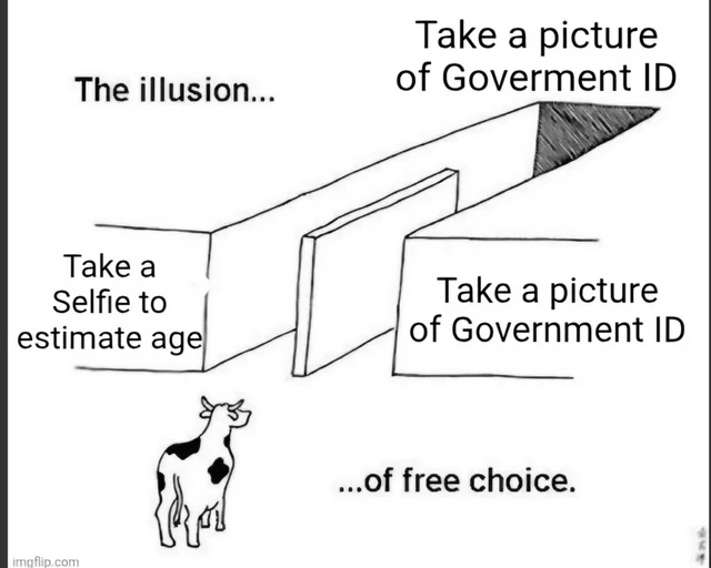 I hate this new age of AI verifying shit #1 – Image
