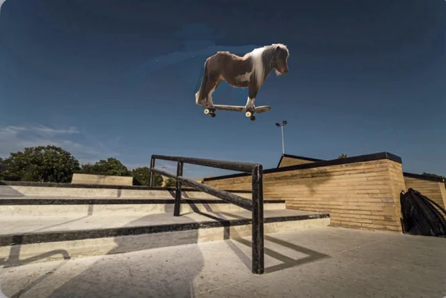 Pony hawk. – Image