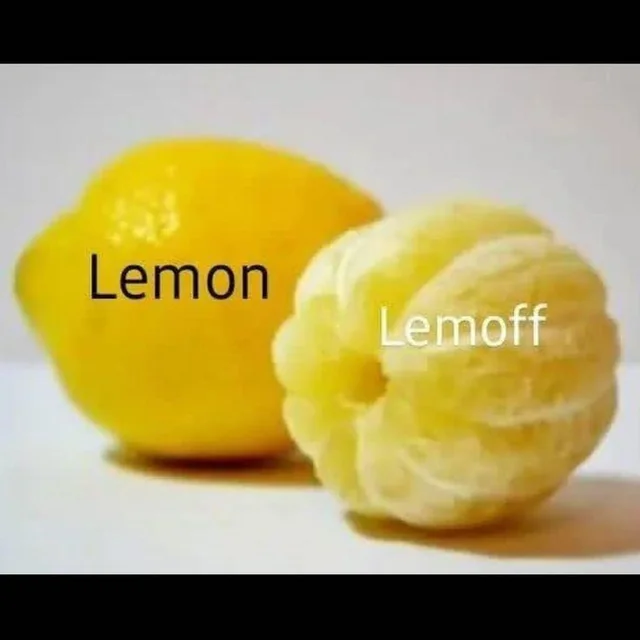 Lemon Lemoff 🍋 – Image