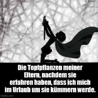 Die sind so gut wie erledigt. #1 – Image