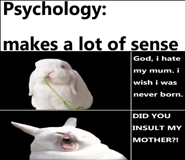 the bunny double standard – Image