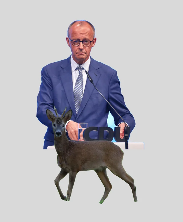 Re(h)formkanzler Merz #1 – Image