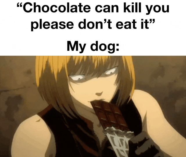 Omw to the vet right now – Image