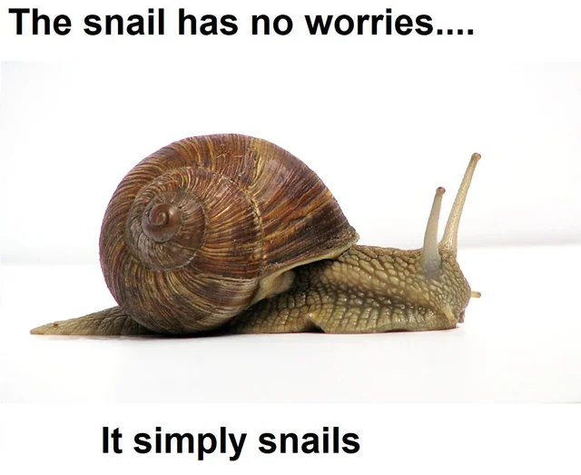 Why worry when you can snail? – Image