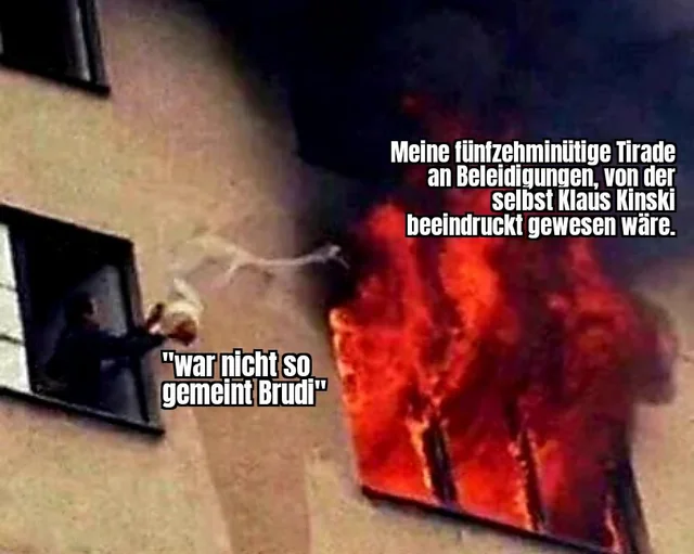 ich schimpfe gern – Image