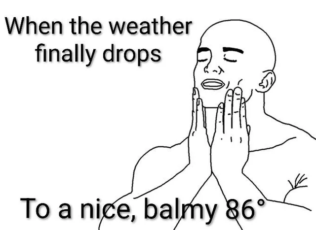 Nearly sweater weather amirite? #1 – Image