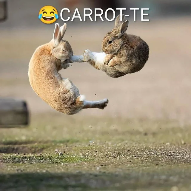 Meme of the day – Image