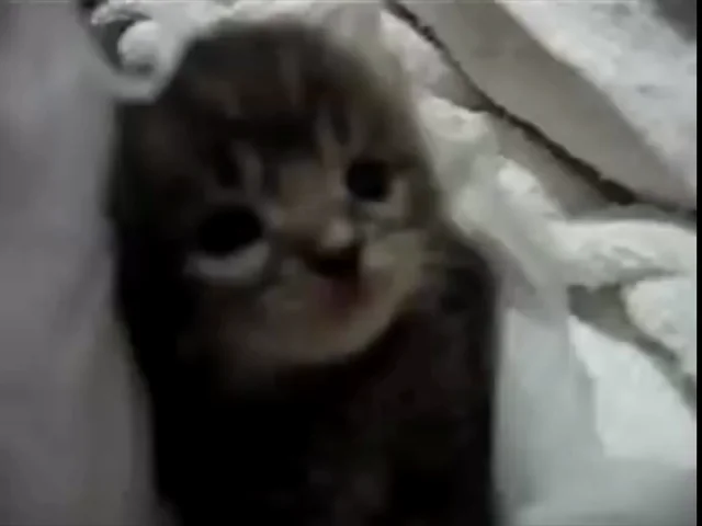 One Sneeze To End Them All #1 – Image