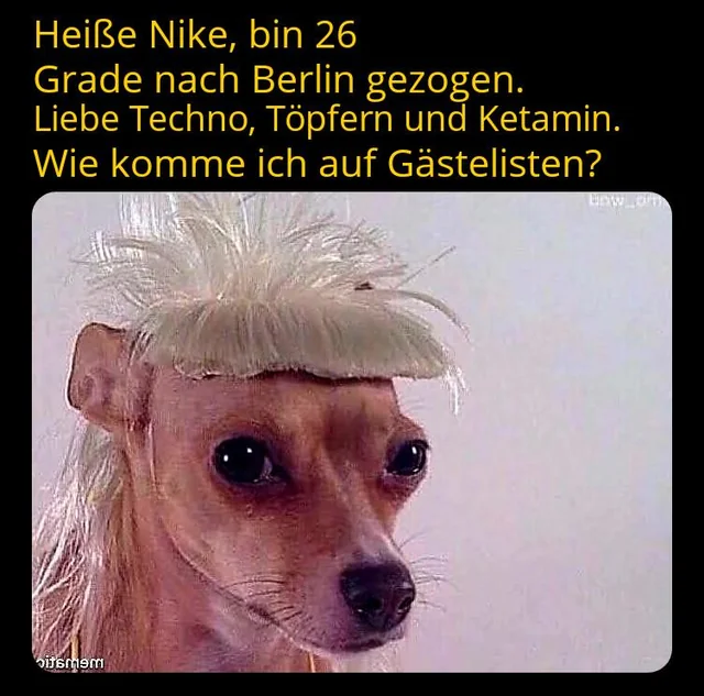 typischer Berlin Zuzug #1 – Image