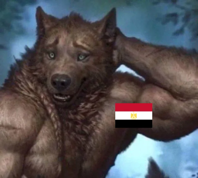 For the next match we need one player to mark Messi and another to mark Mohamed Hany – Image