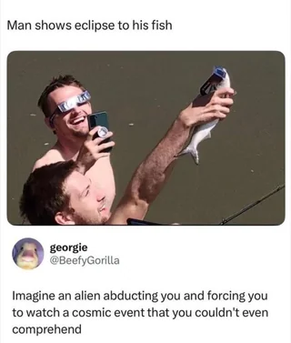 the fish did not consent to this – Image