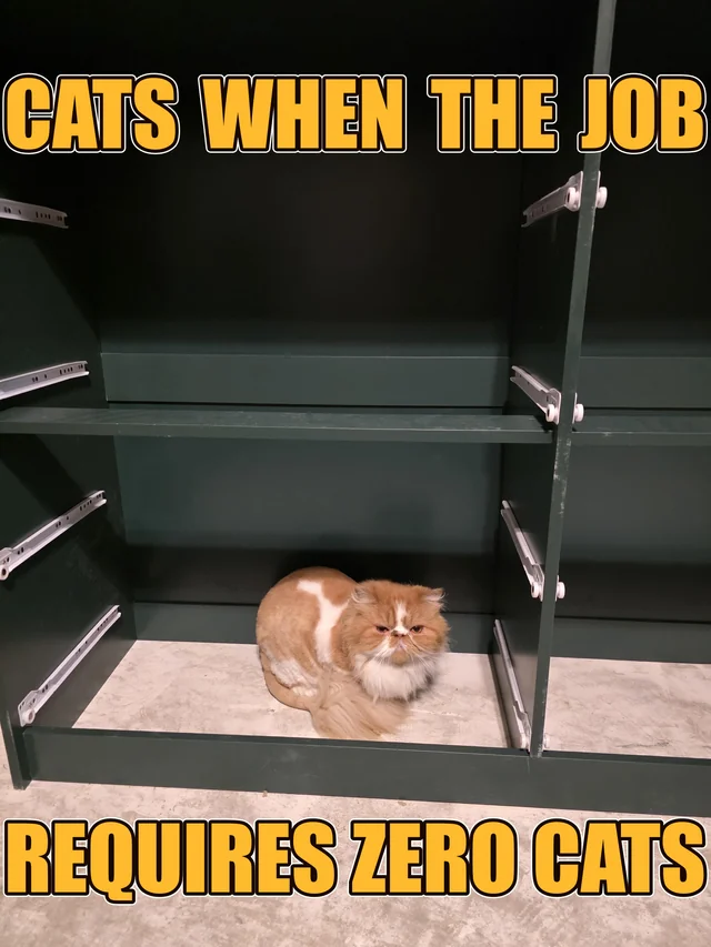 I can see mah services is required here #1 – Image
