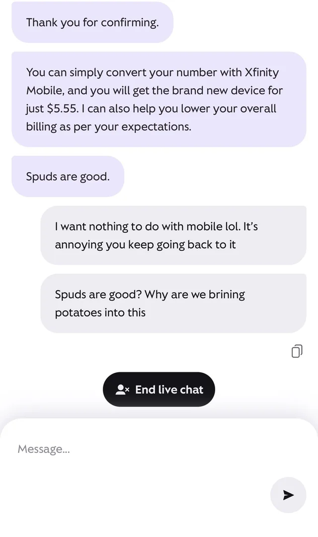 Dealing with chat customer service is pointless these days – Image