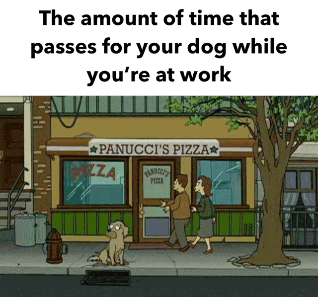 Someone has to pay for all these dog treats – Image