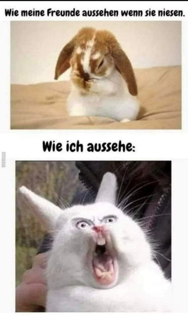 Ist es so? #1 – Image