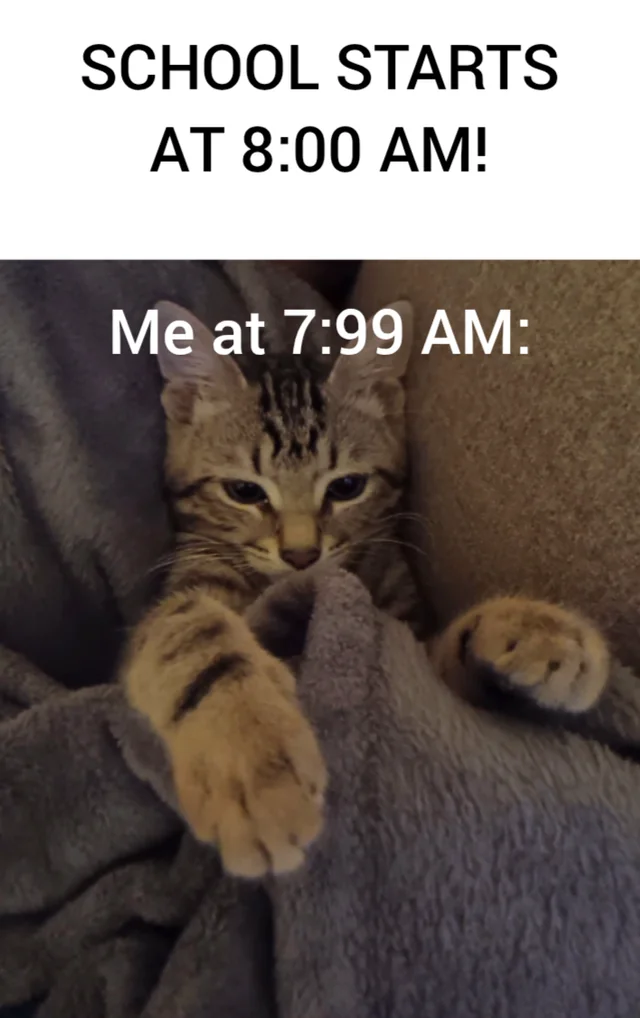 SCHOOL MEME! – Image