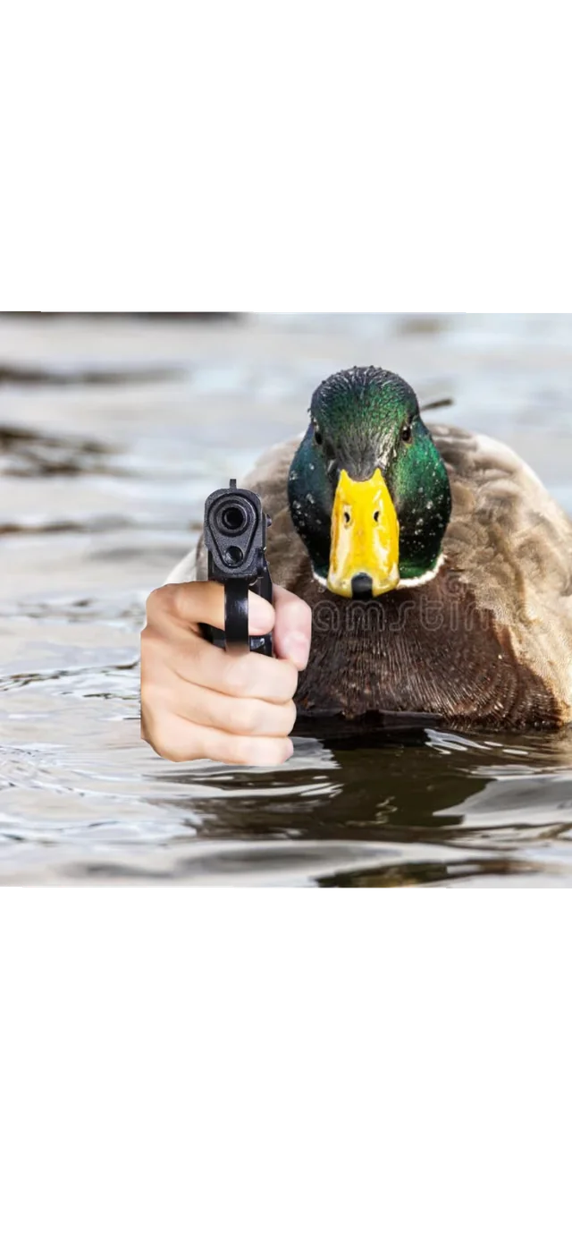 My very first meme. Is good?? – Image