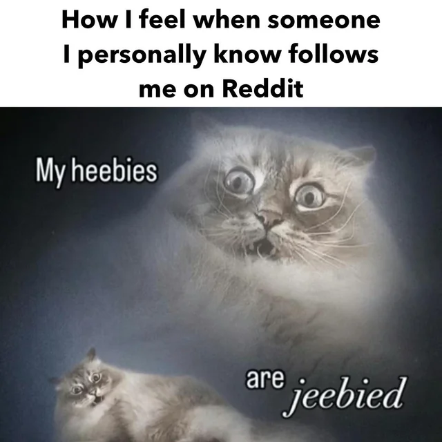 How did you find me? #1 – Image