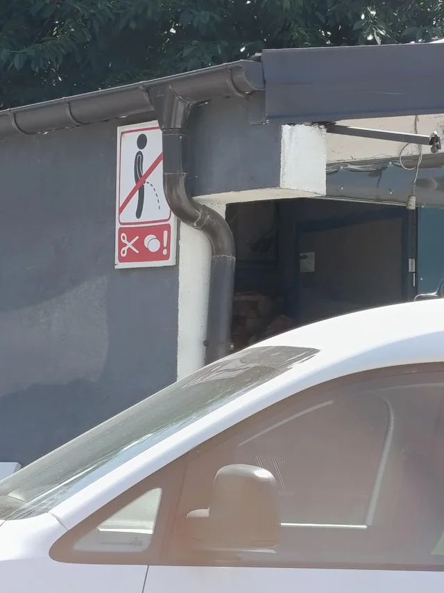 No peeing or we cut your balls #1 – Image