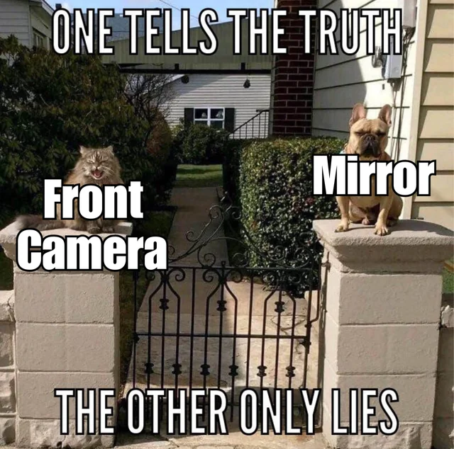 I trust whatever portray me as good looking #1 – Image