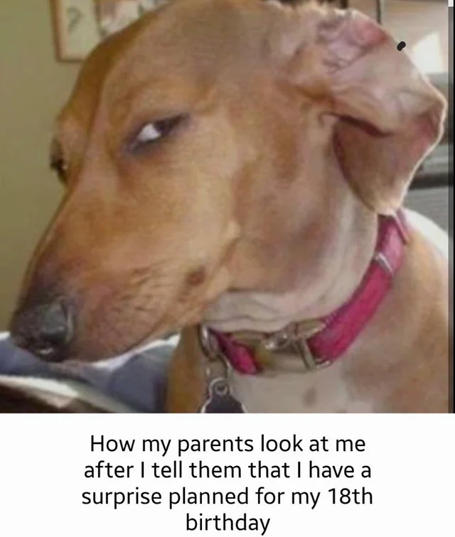 "A surprise, you say?" #1 – Image