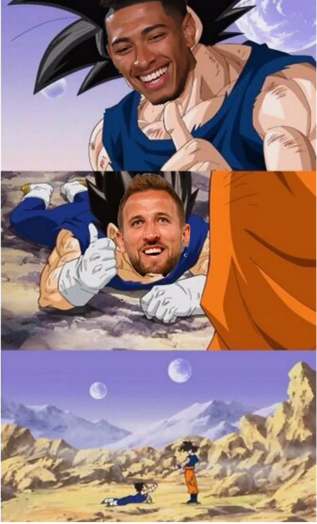 Haaland Buu has been defeated – Image