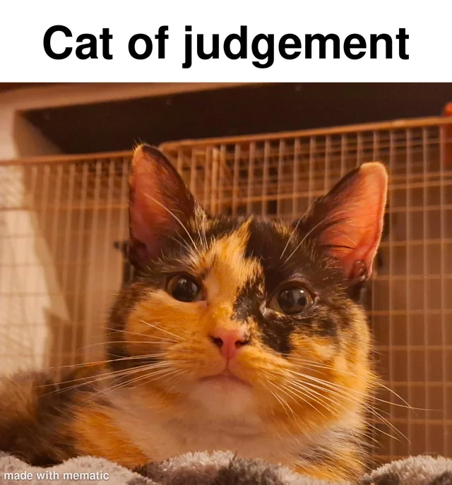 Another judgement meme to add to your collection. #1 – Image