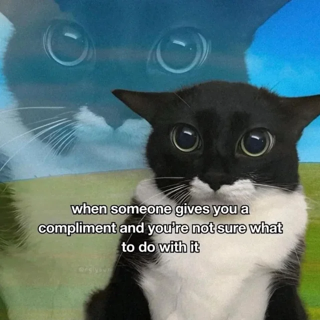 Anyone else feel like this ? – Image