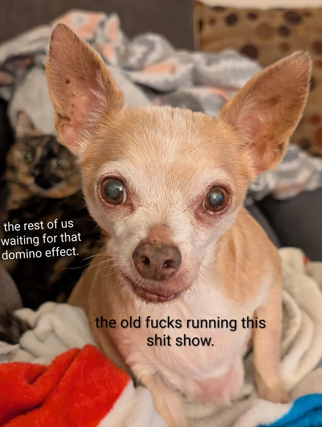 Made this, inspired by recent events. – Image