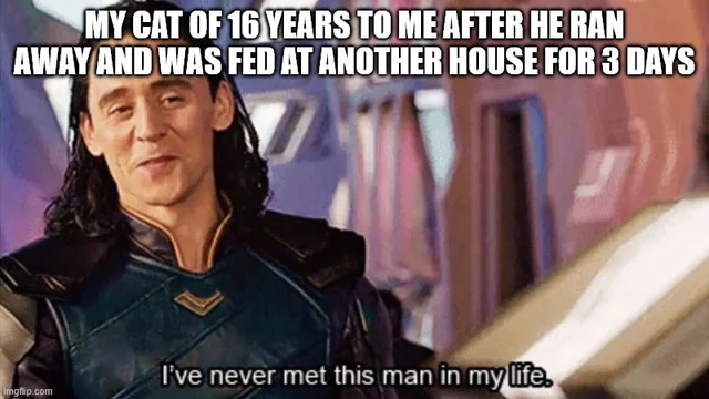 It do be like that – Image