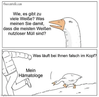 Was lernen die bitte an der Uni? #1 – Image