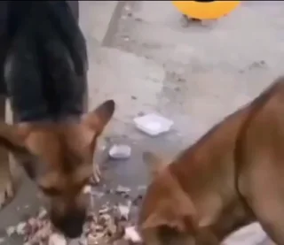 That one friend when there’s free food – Image