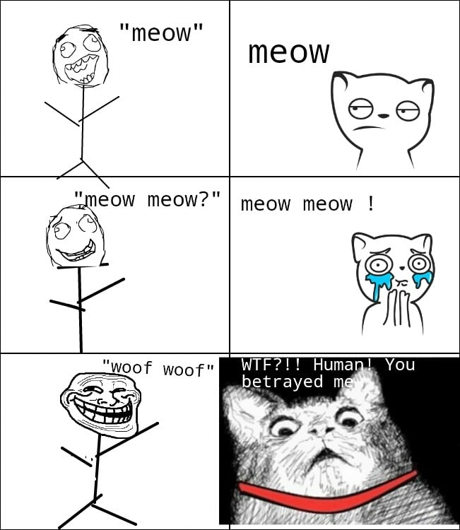 MEOW – Image