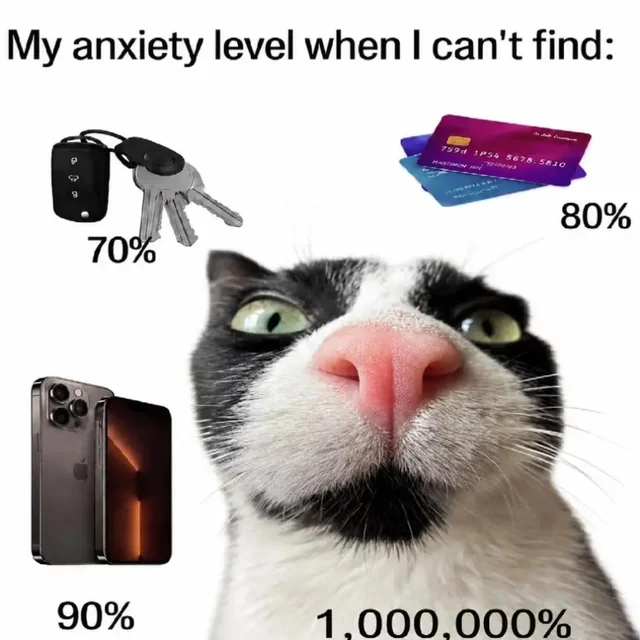Unlike keys, cats are rarely in the last place you left them – Image