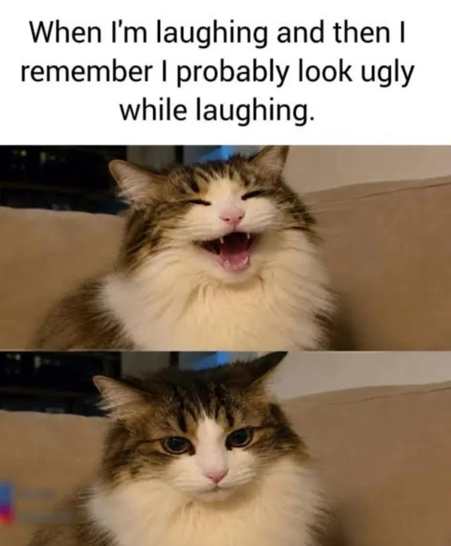 Sudden realisation #1 – Image