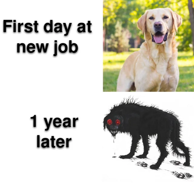 Been a rough couple weeks murray – Image