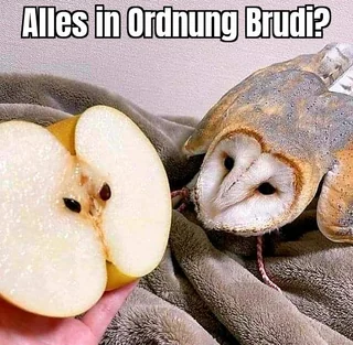 Wirklich alles gut? Du sagst gar nichts. #1 – Image