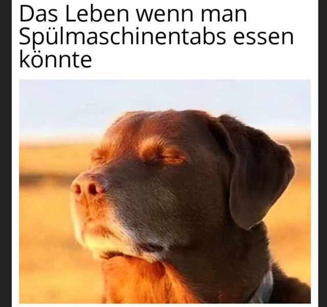 Leben #1 – Image