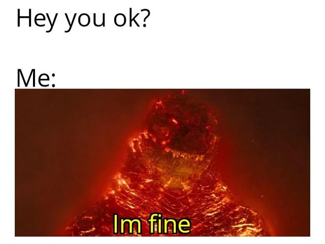 Dont I look ok ? – Image