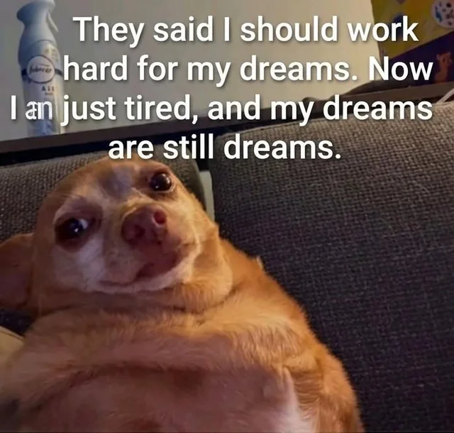 Dreams, still #1 – Image