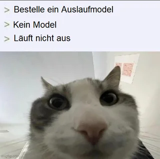 Auslaufmodel – Image