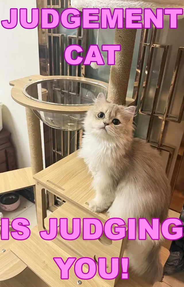 Behind the floof... judgement awaits! – Image