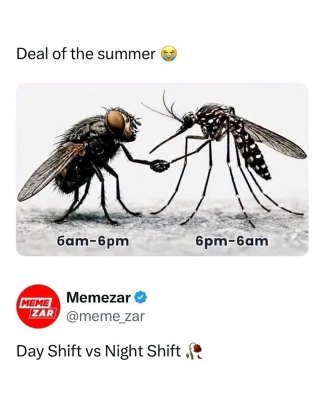 Deal of torture 😭 – Image